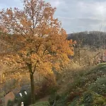 Le Lit De La Semois