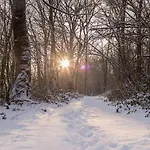 Le Lit De La Semois Appartamento Vresse-sur-Semois