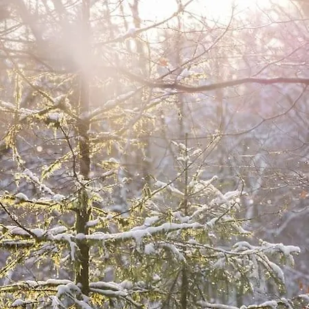 Le Lit De La Semois アパート *