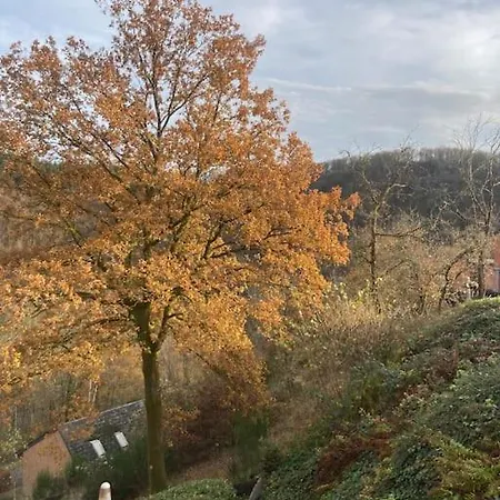 Le Lit De La Semois