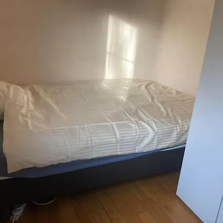 Le Lit De La Semois Vresse-sur-Semois