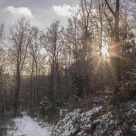 Le Lit De La Semois *