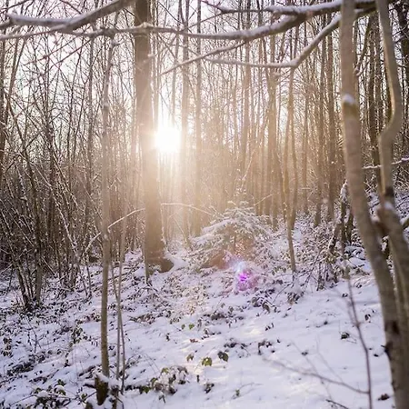 Le Lit De La Semois * Vresse-sur-Semois