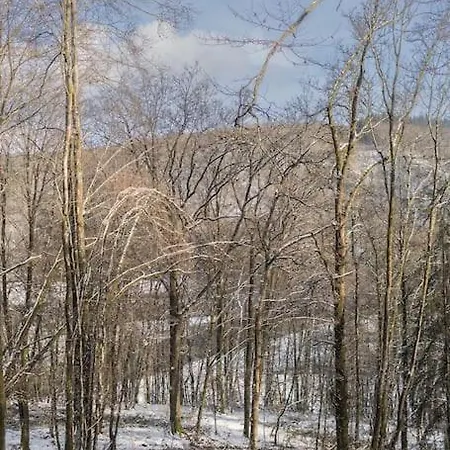 Le Lit De La Semois Διαμέρισμα Vresse-sur-Semois
