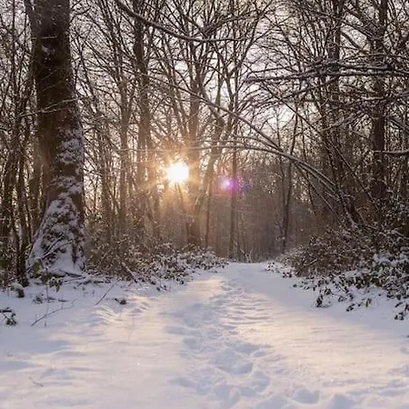 Le Lit De La Semois Διαμέρισμα Vresse-sur-Semois